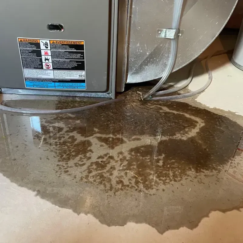 Appliance Leak Cleanup in Monterey Park, NM